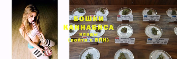 дживик Корсаков