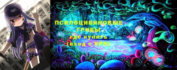 PSILOCYBIN Беломорск