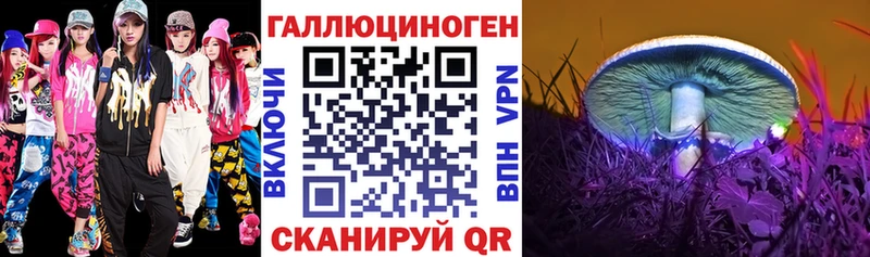 Псилоцибиновые грибы Psilocybine cubensis  KRAKEN ONION  Кущёвская 
